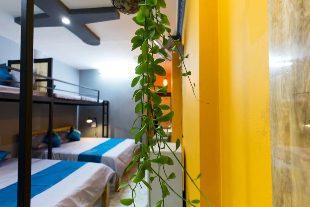 GoCo Hostel - photo 3