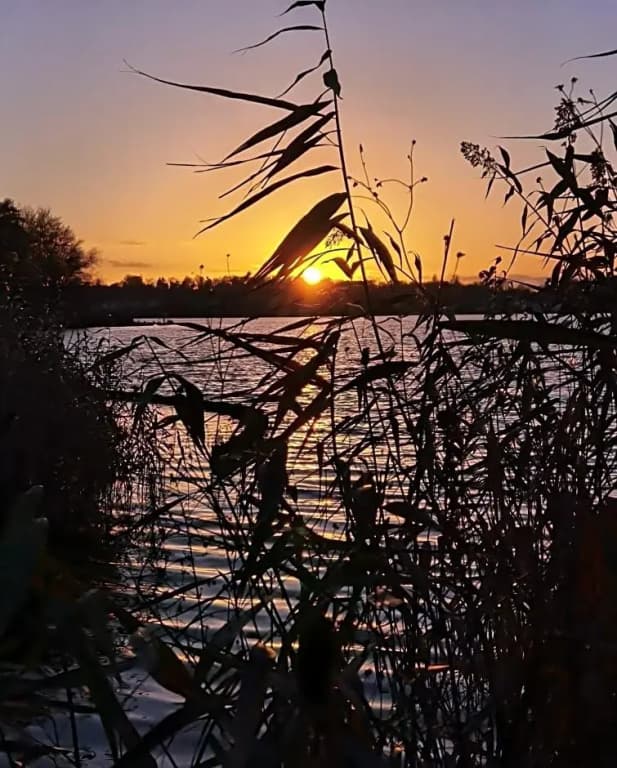 Seehotel Grunewald - photo 50