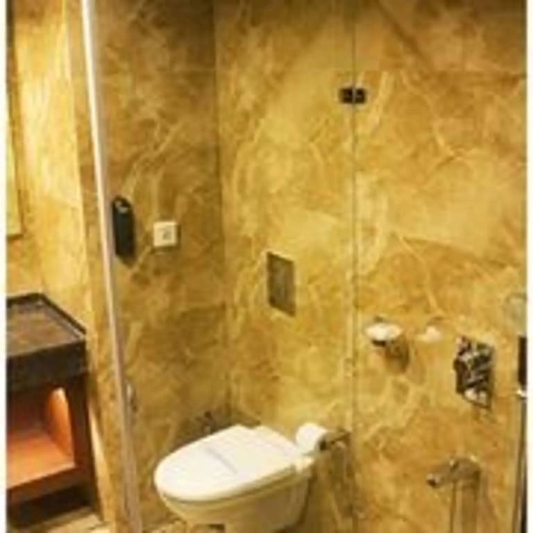 Hotel Regent Grand - photo 10