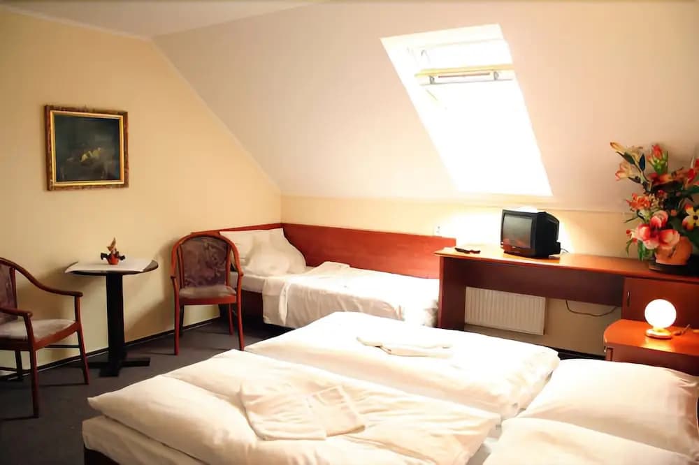 Hotel U Hvezdy - photo 4