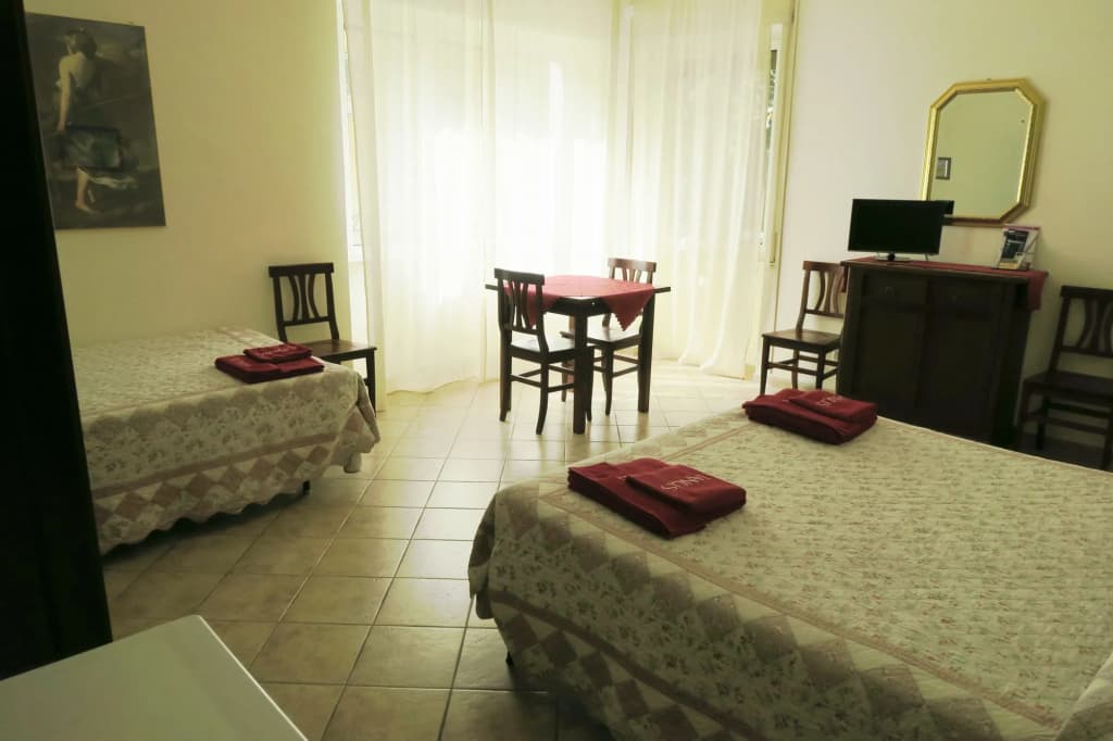 Ianus Guest House - photo 3
