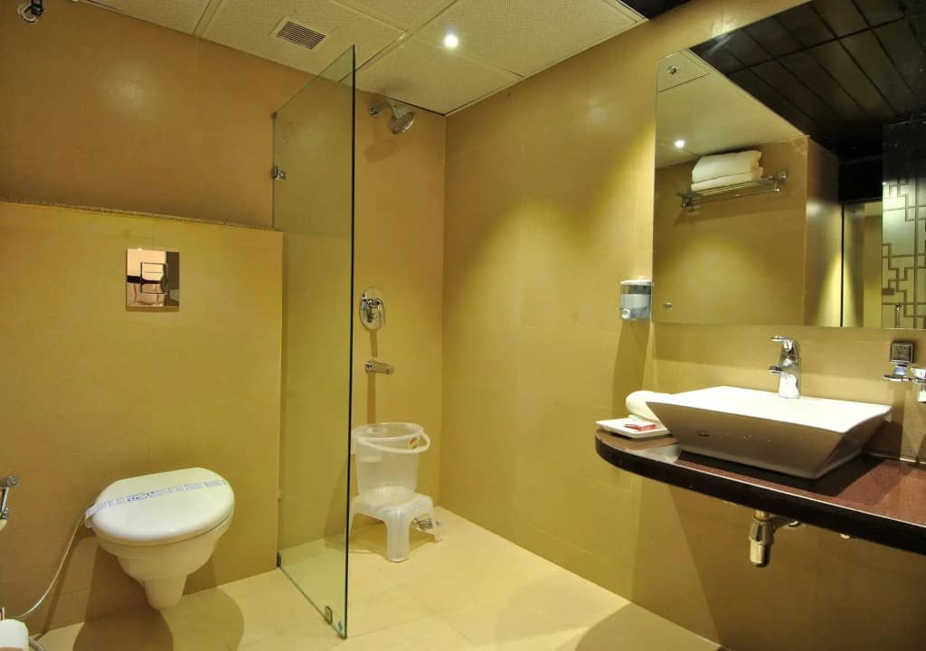 Hotel Sai Miracle - photo 9