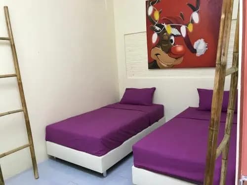 Happy Hippie Hostel - photo 3