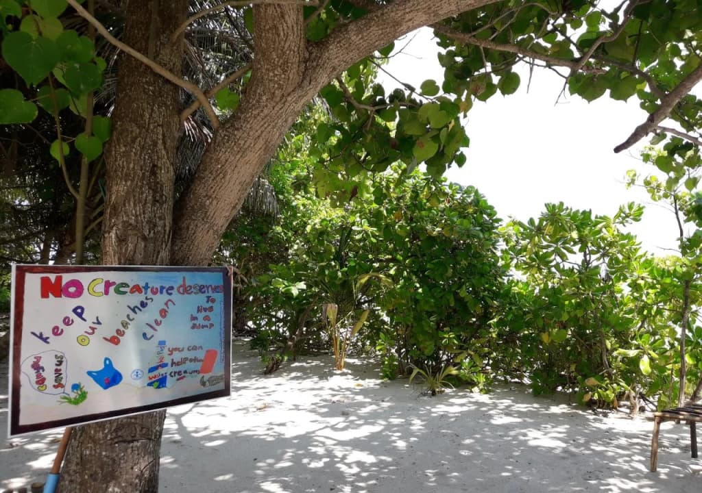 Muli Inn Surf View Maldives - photo 17