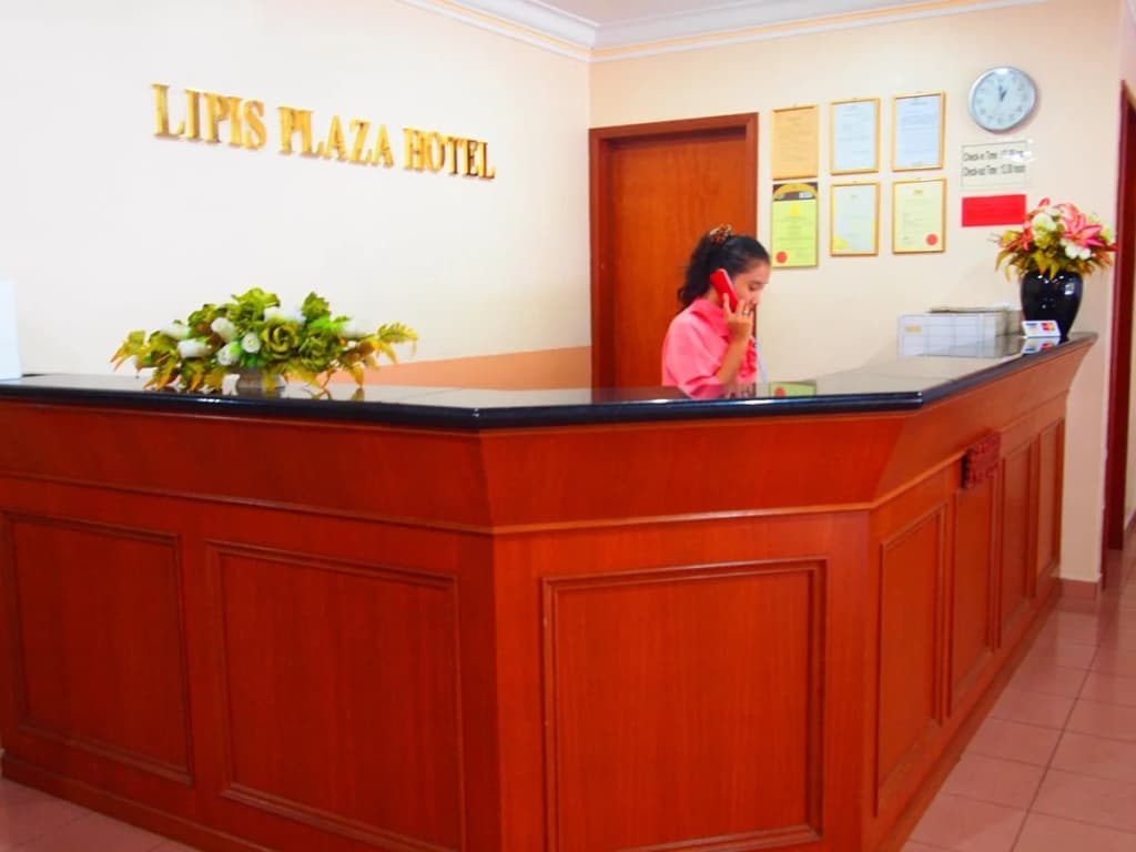 Lipis Plaza Hotel - photo 23