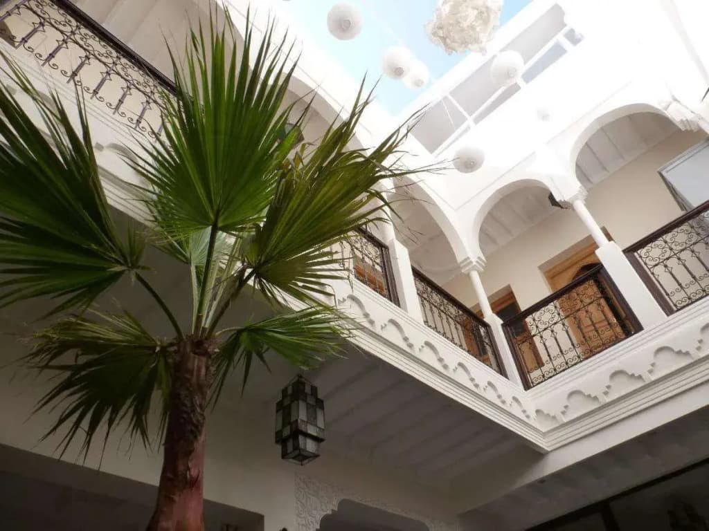 Riad Safina - photo 1