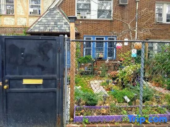 Private cozy studio in Jackson Heights - main photo