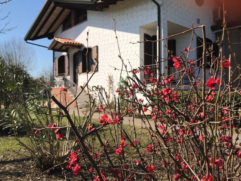 B&B Annaclara - main photo