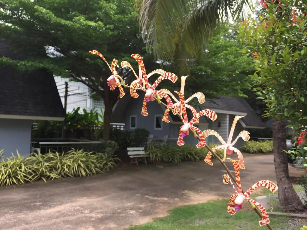 A Little Villa - photo 16