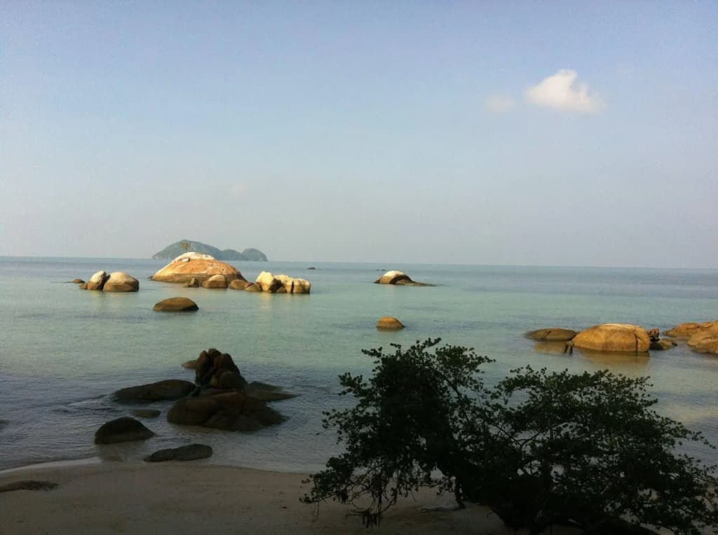 Sea Sunset Resort - photo 6