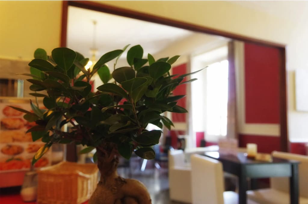 Hotel Savonarola - photo 35