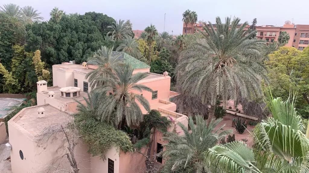 Majorelle - photo 6