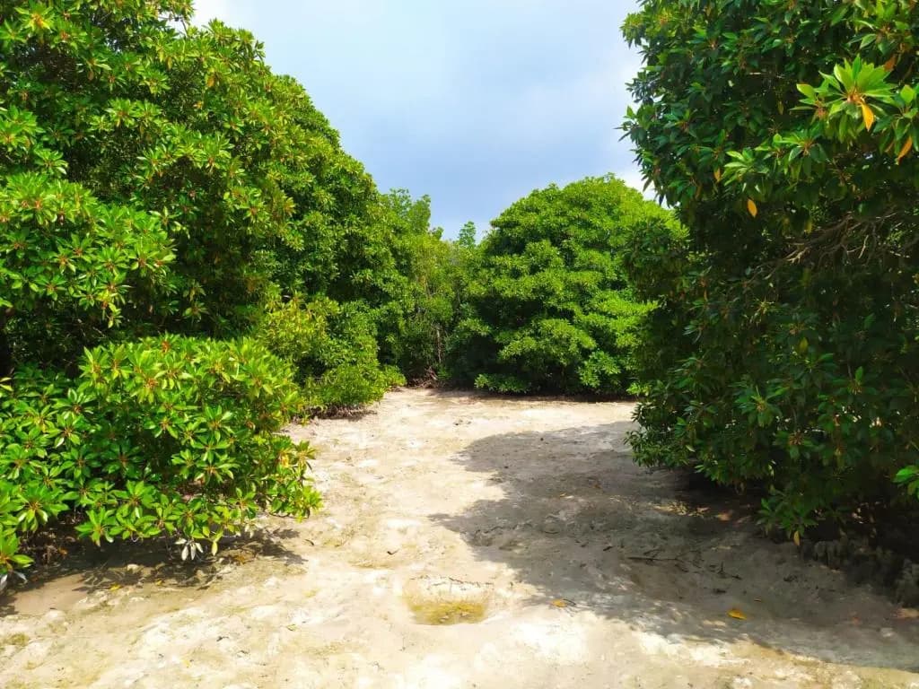 Courtyard Guest house - photo 20