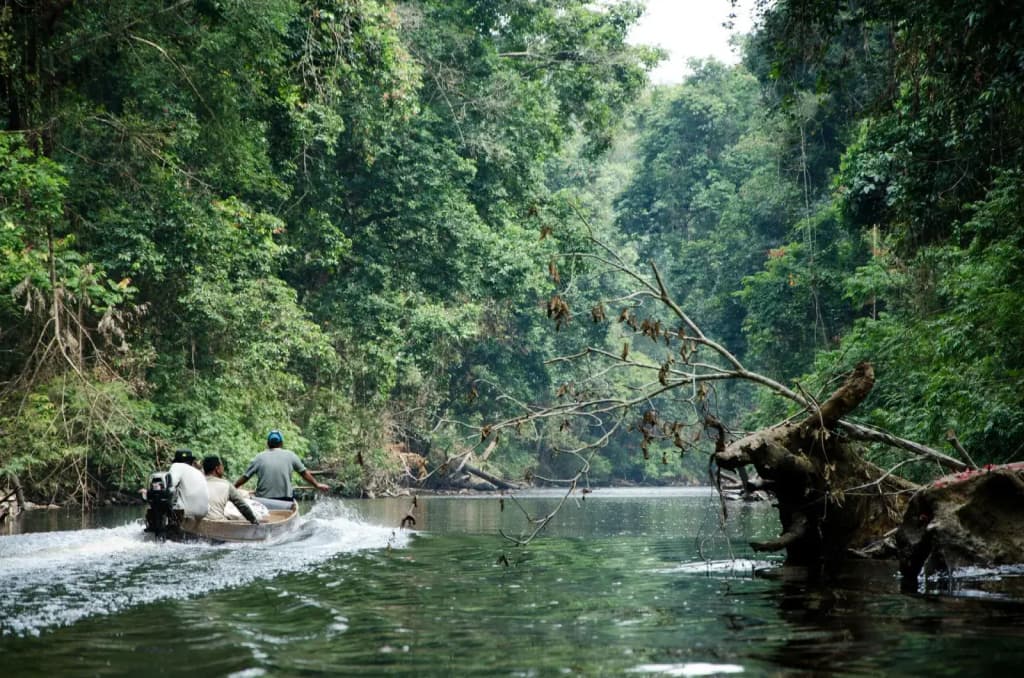 Mutiara Taman Negara - photo 23