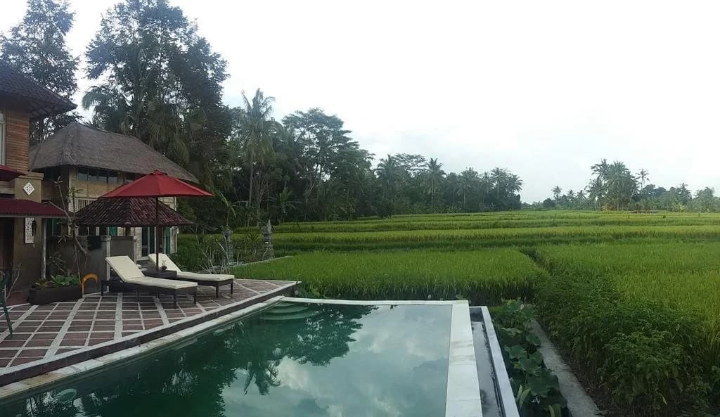 Pondok Bungkuan - photo 10