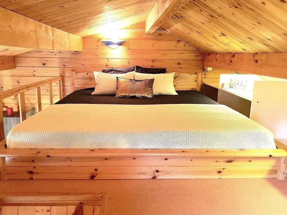 Dreamy Garden Lodge Center Berlin - photo 3