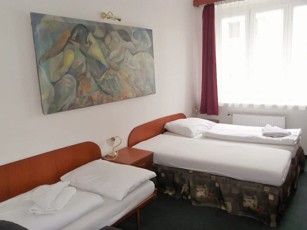 Elen's Hotel Arlington Prague - photo 7