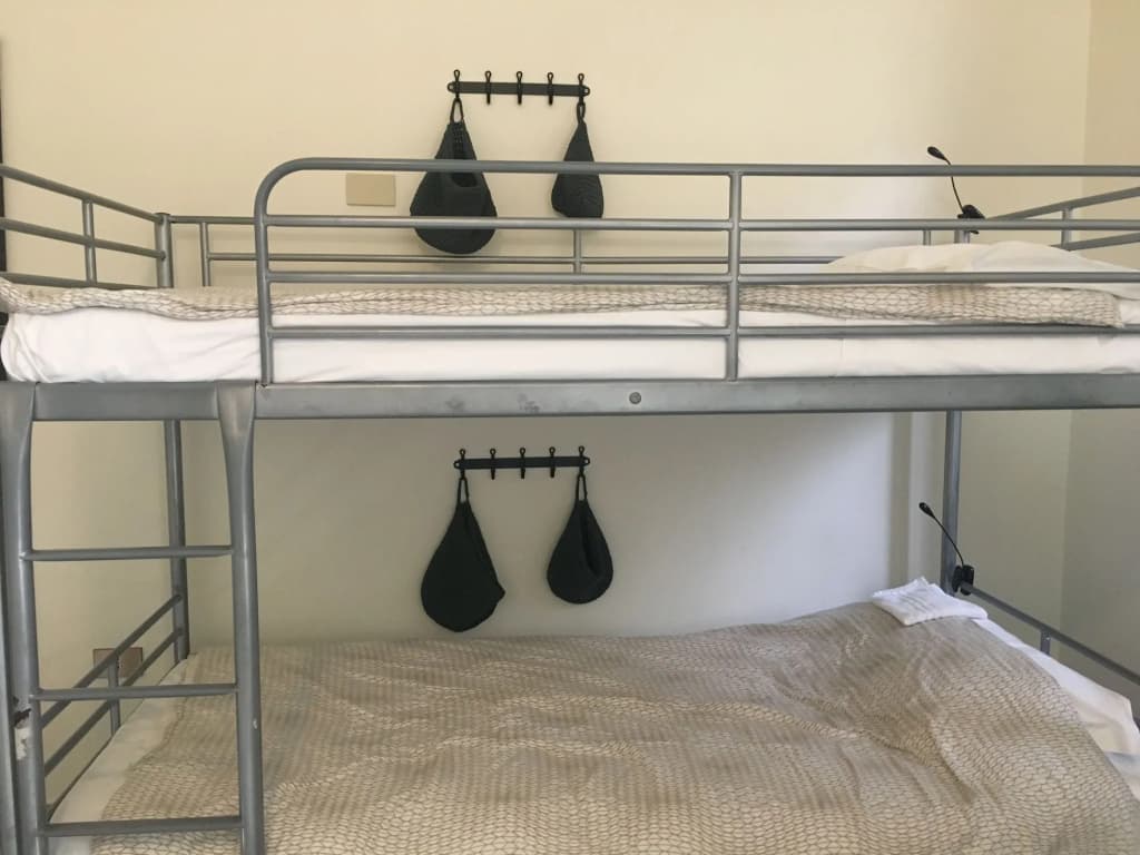 The Beehive Hostel - photo 15