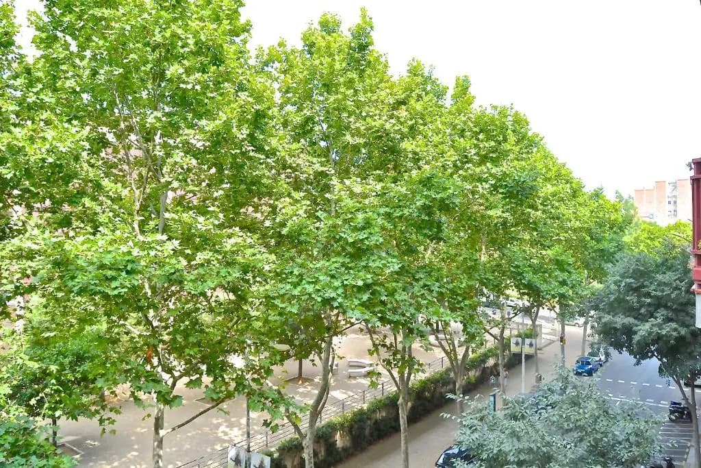 Auditori Barcelona - photo 9
