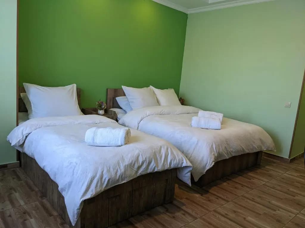 Tbilisi Hotel Serenity - photo 7