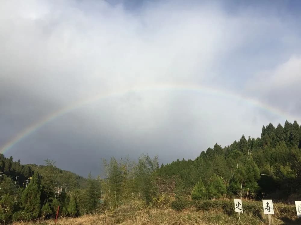 banja - photo 12