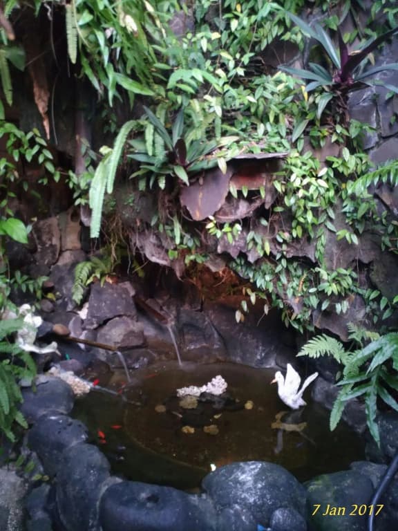 Praety Home Stay - photo 17