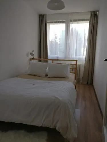 Invalidovna Apartment - photo 2