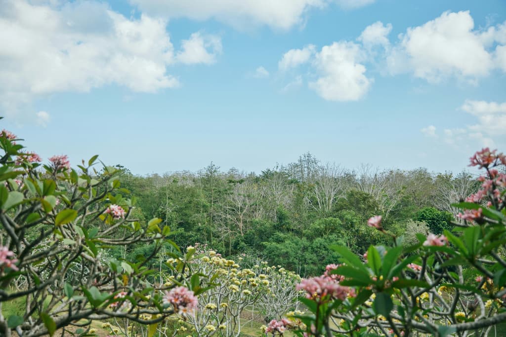 Rimba by Ayana Bali - photo 46