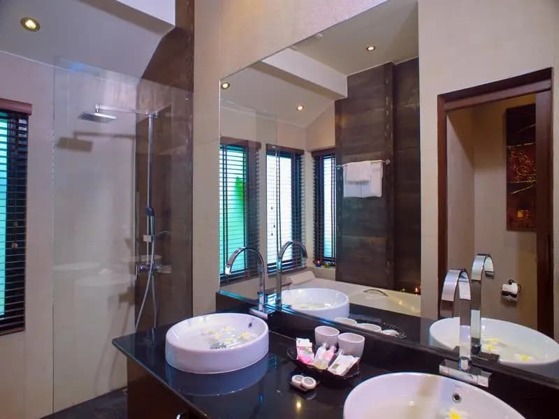 Champagne Private Pool Villa - photo 4