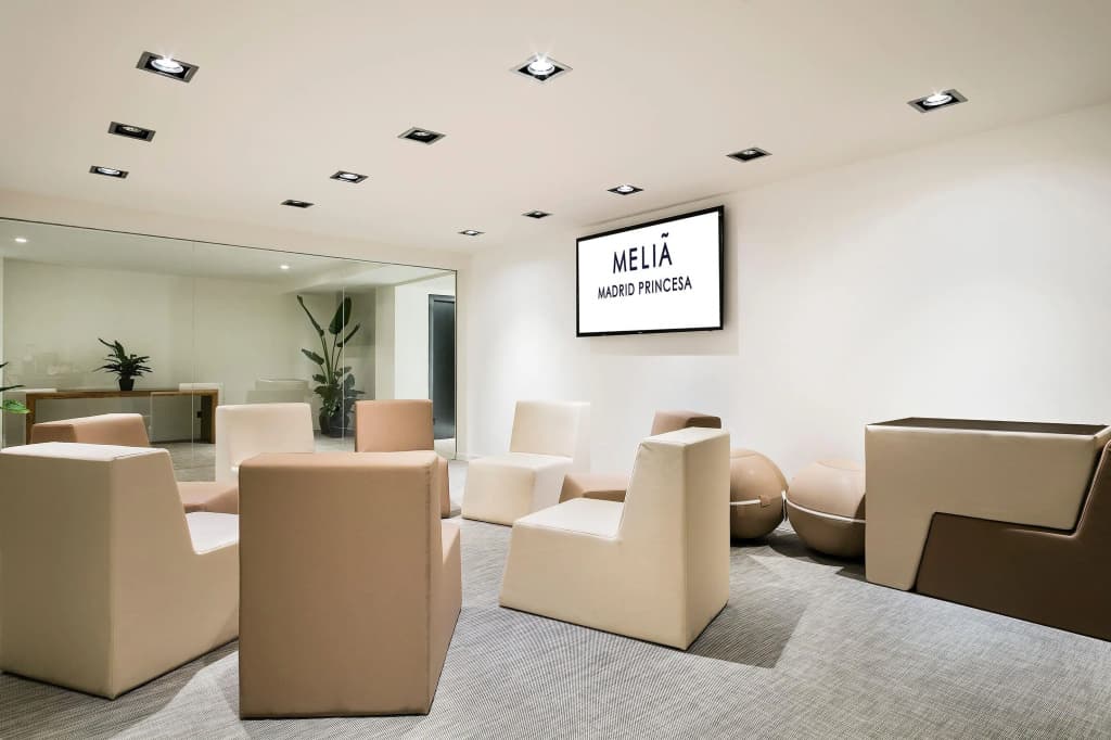 Melia Madrid Princesa - photo 34