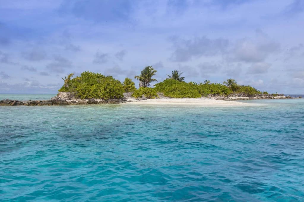 Vaali Maldives Island Escapes & Dive Guest House - photo 19