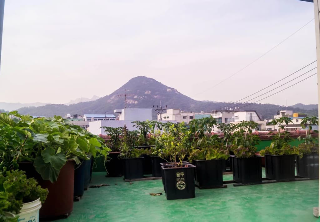 RyanHouse - photo 10