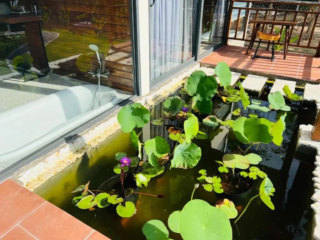 Lotus Home - photo 11
