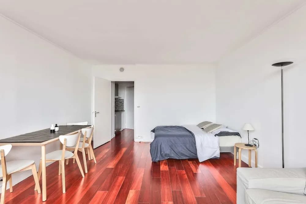 Nice Studio in the 15th Arr - photo 4