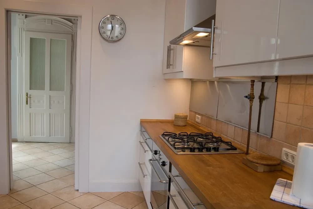Opera Theater Apartment - photo 17