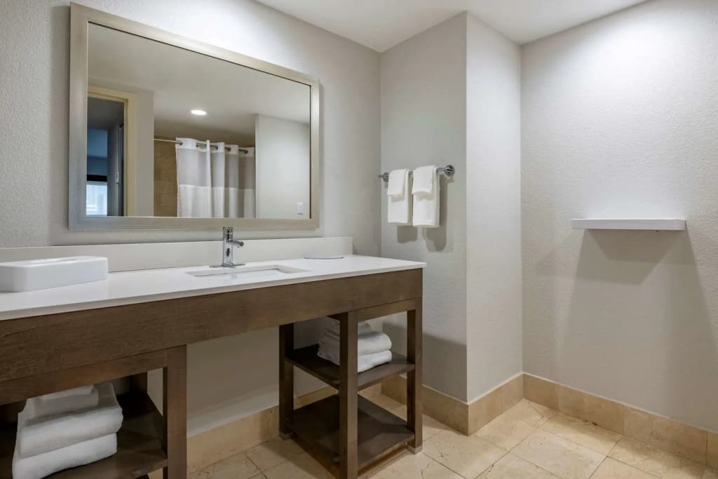 Comfort Inn & Suites Downtown Brickell-Port of Miami - photo 8