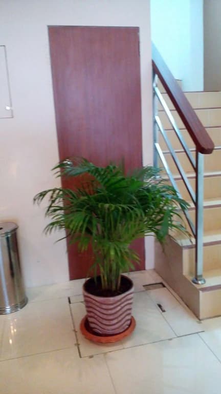 Phuket IYH Express Hostel - photo 10
