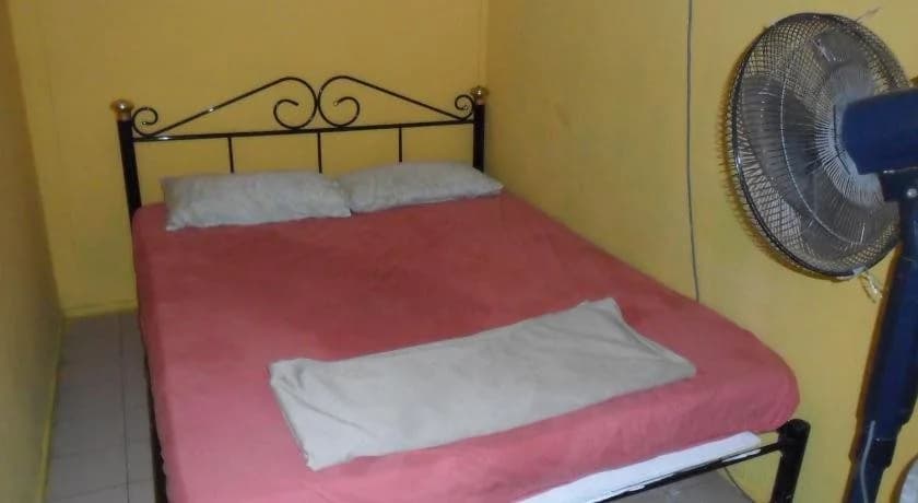 Greenleaf Guesthouse - photo 4