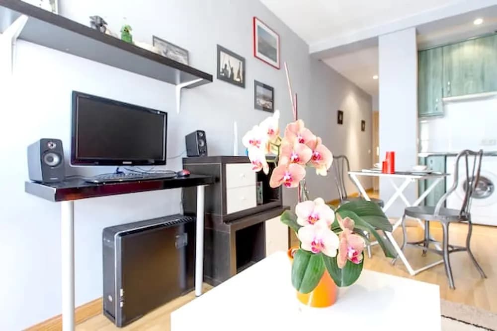 Studio in Madrid, With Wifi - photo 3