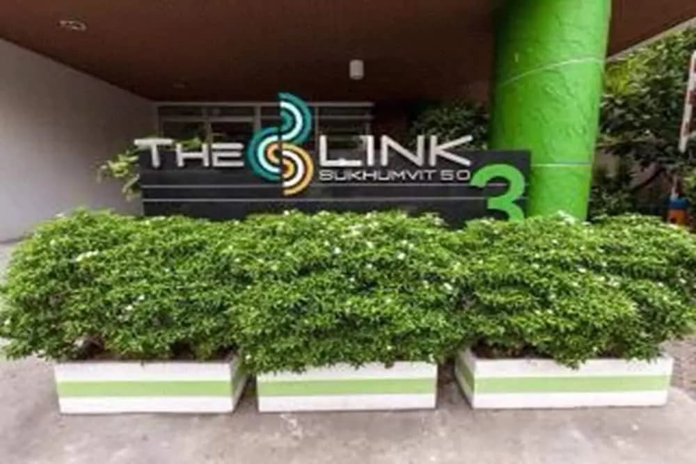 The Link Onnut by May - photo 12