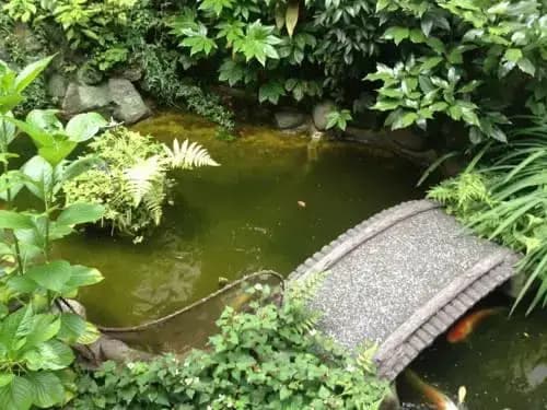 Ryokan Maizuru - photo 1