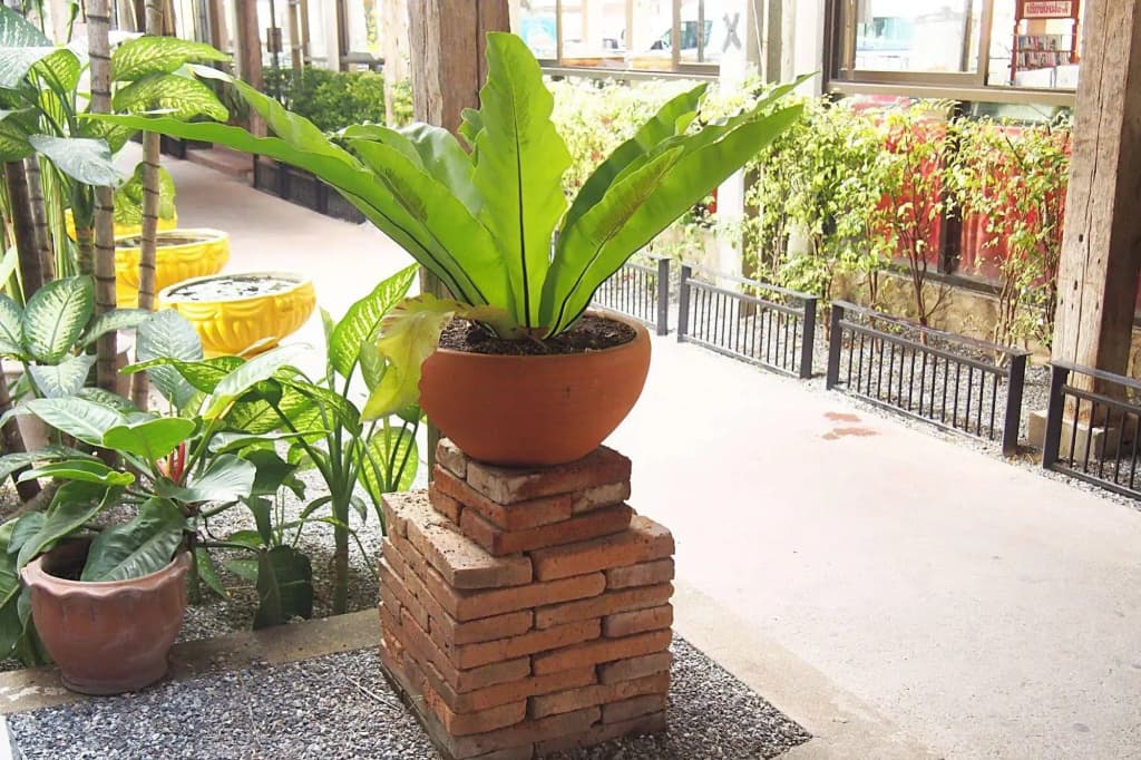 U-Sa Family Hotel - photo 20