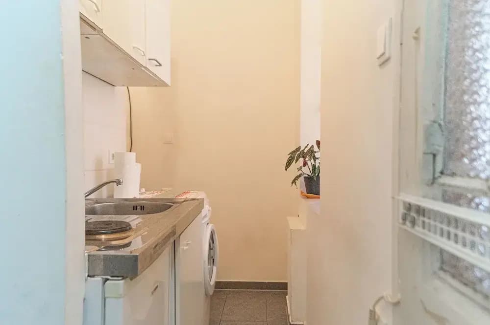 Budget 1BR Apt Sleeps 5 Belvedere - photo 11