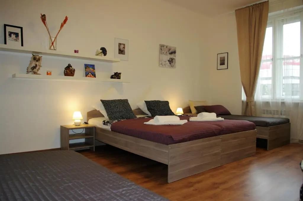 Spacious Prague View Apartment - photo 1