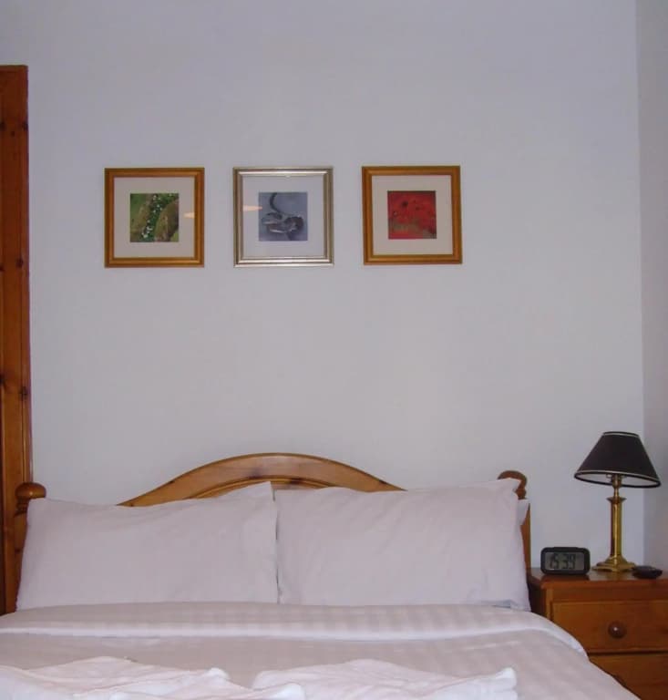 Twin Lions Hotel - photo 36