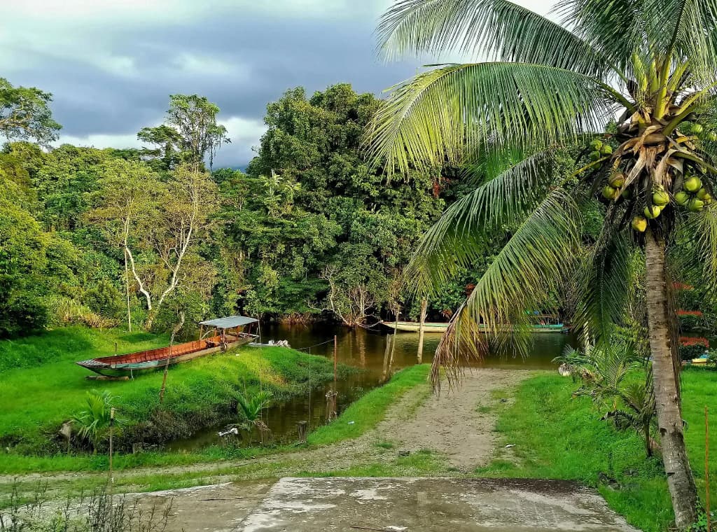 Mulu Diana Homestay - photo 11
