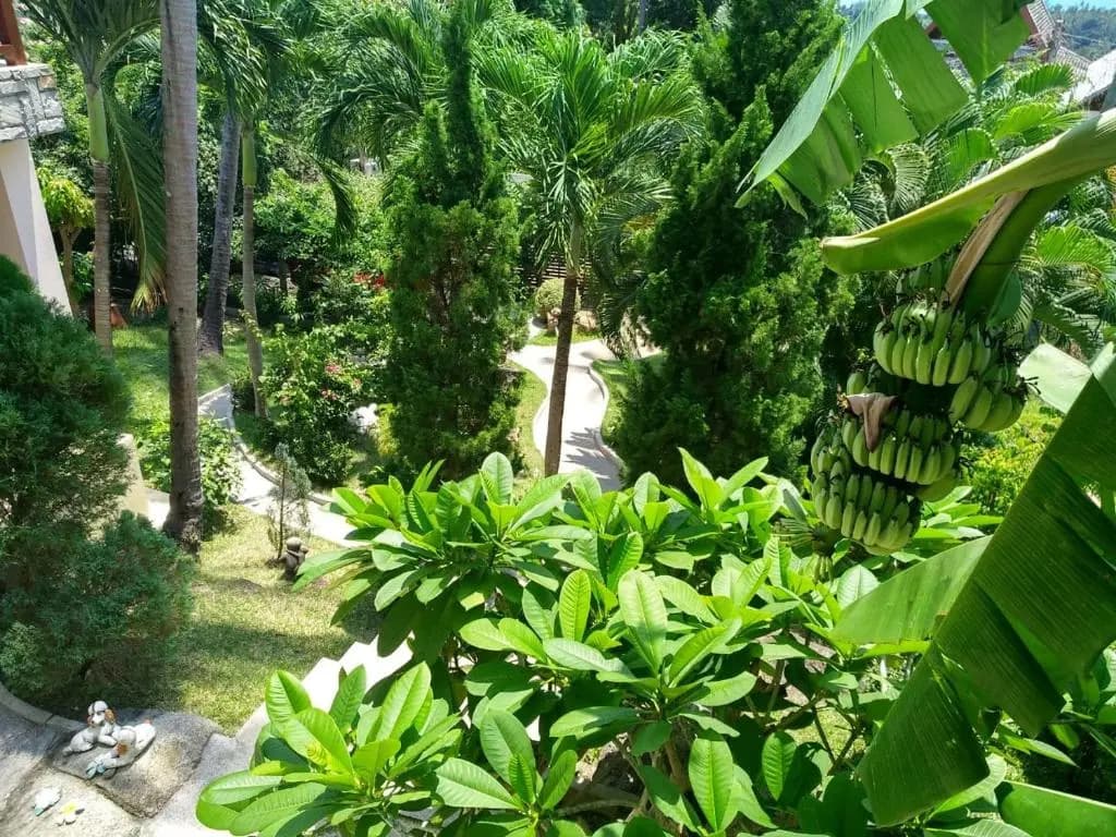 Villa Liu - photo 16