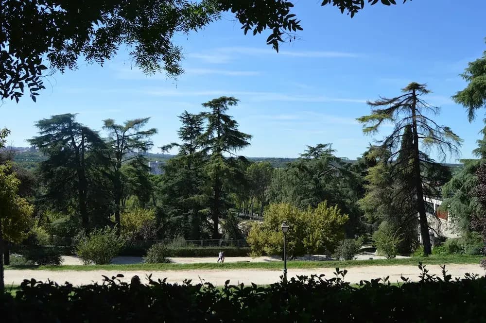 Debod Hostel - photo 12
