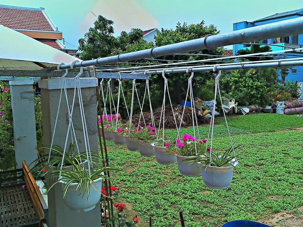 MS Tri House Homestay - photo 5