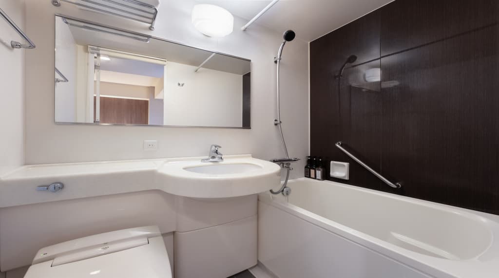 Sotetsu Fresa Inn Shimbashi-Karasumoriguchi - photo 29
